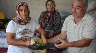 Antalya’da Yangın: Aile Tüm Birikimlerini Kaybetti