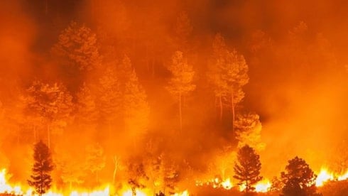 Serik’te uyuşturucu operasyonları