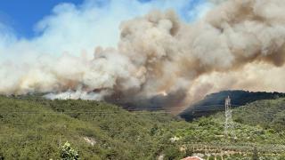 Hatay’daki orman yangınıyla ilgili bir şüpheli tutuklandı