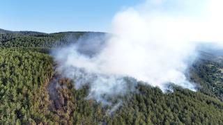 Ilgaz’daki orman yangını kontrol altına alındı