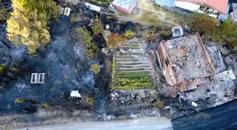 Karabük’te Orman Yangını: 39 Ev ve Hayvan Ahırları Hasar Gördü