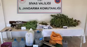 Zara’da Uyuşturucu Operasyonu: 3 Tutuklama