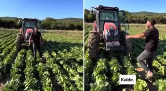 Tarlasındaki ürüne teklif edilen fiyat üreticiyi isyan ettirdi: Markette 30 TL’ye satıyorlar