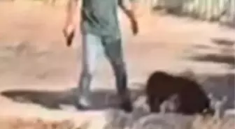 Ümraniye’de Silahlı Saldırı: Kadına Sokak Ortasında Darbe