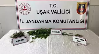 Uşak’ta Uyuşturucu Operasyonu: 1 Gözaltı