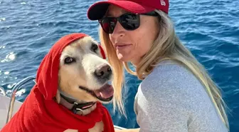 Bodrum’da Köpeğe Çarpan Sürücü Hakkında Şikayet