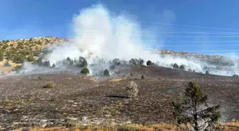 Adana’da Anız Yangını Ormanlık Alana Sıçradı