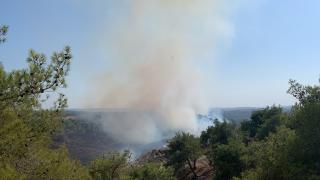 Adana’da orman yangını