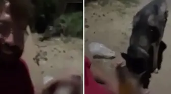 Köpeğine zorla alkol içirip kahkahalar attı