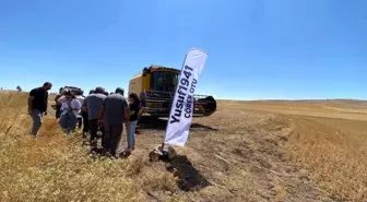 Çorum’da Çörek Otu Hasadına Başlandı
