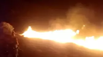 Marmara’da Arazi Yangını Kontrol Altına Alındı