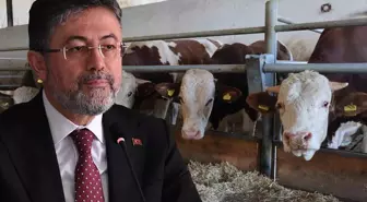Bakan Yumaklı: Türkiye’de şap hastalığının yeni bir çeşidi 60 sene sonra ilk kez görüldü
