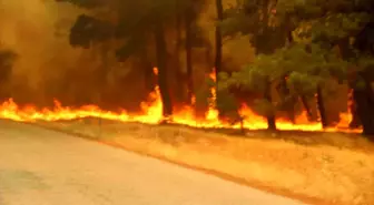 Çanakkale’de Orman Yangını: 3 Köy Tahliye Edildi