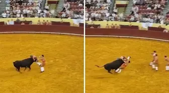 Boğa güreşçisi boynuz darbesiyle hayatını kaybetti, seyirci kalp krizi geçirdi
