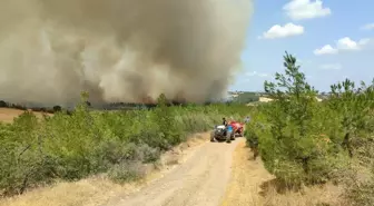 Çanakkale’de Orman Yangını: Yangına Hava ve Karadan Müdahale