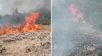 Gümüşhane’de çobanın yaktığı ateş yangına neden oldu