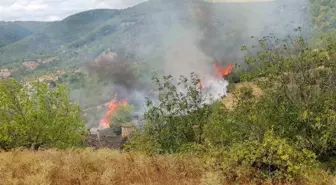 Balıkesir’de Yangın: 5 Dönüm Zarar Gördü