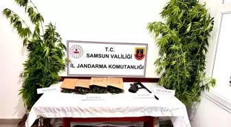 Samsun’da Jandarma Uyuşturucu Operasyonu: 1 Kilo Esrar ve Tüfek Ele Geçirildi