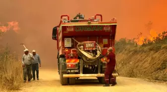 Karabük’te Orman Yangını, Ekipler Mücadele Ediyor