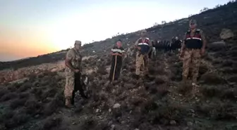 Kilis’te Kaybolan 26 Hayvan Bulundu