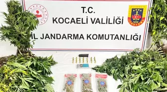 Kocaeli’de Uyuşturucu Operasyonu: Çok Sayıda Ele Geçirildi