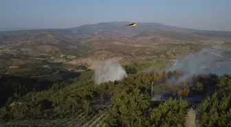 Demirci’de Orman Yangını Kontrol Altına Alındı