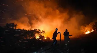 İzmir’de minibüste çıkıp ormana sıçrayan yangın kontrol altına alındı