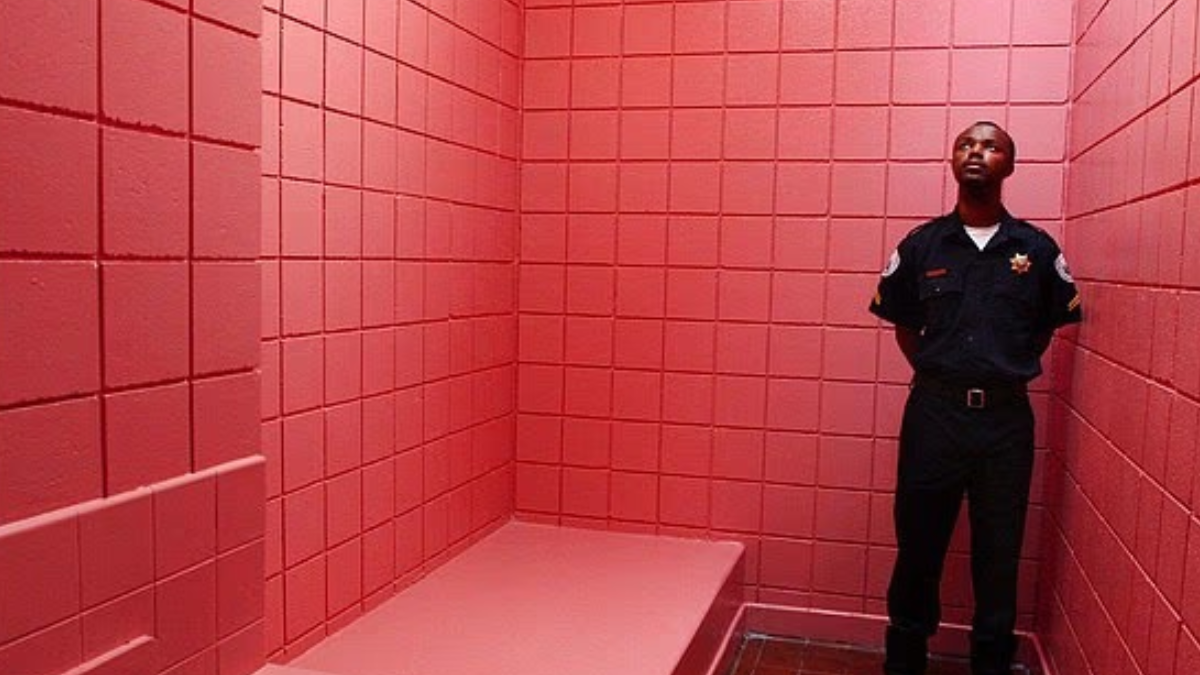 İnsanı pamuk gibi yapan renk açıklandı: Sakinleştiriyor