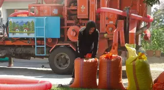 Saatlik ücretleri 4 bin 500 TL! Patozcular gece gündüz demeden çalışıyor