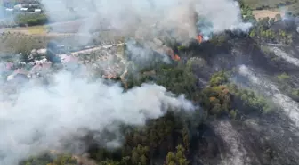 Sakarya’da Orman Yangını Kontrol Altına Alındı