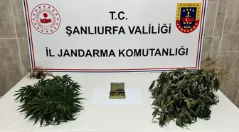 Şanlıurfa’da Uyuşturucu ve Silah Kaçakçılığı Operasyonu: 6 Gözaltı