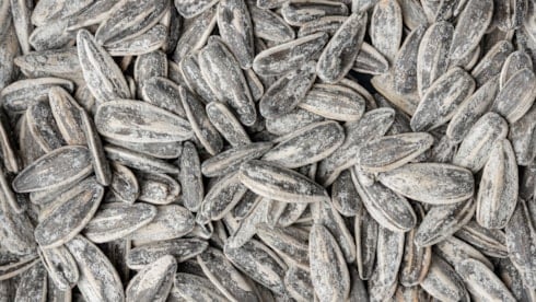 Kabus geri mi dönüyor: Boğazları kapladılar, denizciler tedirgin