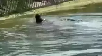 Adana’da Sulama Kanalında Erkek Cesedi Bulundu