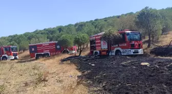 Balıkesir’de Orman Yangını Kontrol Altına Alındı