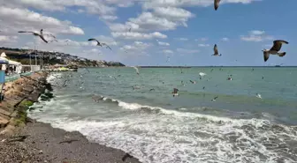 Marmara Denizi’nde Poyraz Deniz Trafiğini Aksattı