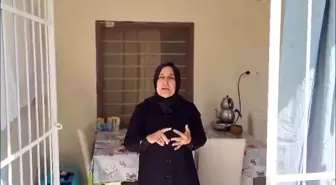 Adana’da Veteriner ile Avukat Arasında Sokak Köpekleri Üzerinden Tartışma