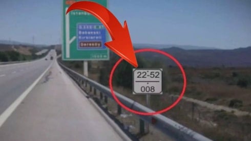 Kedilerin yoğurma hareketinin sebebi buymuş